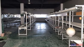 制造業(yè)升級與軟件開發(fā)融合 鄭州電子廠自動化與揚州軟件開發(fā)的協(xié)同發(fā)展