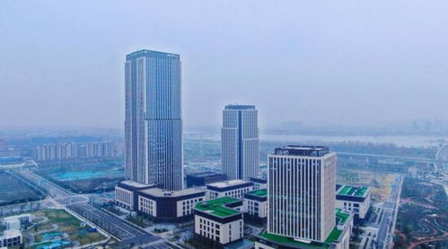 揚州生態科技新城三項目入選省重點清單，以軟件驅動“兩業融合”新篇章